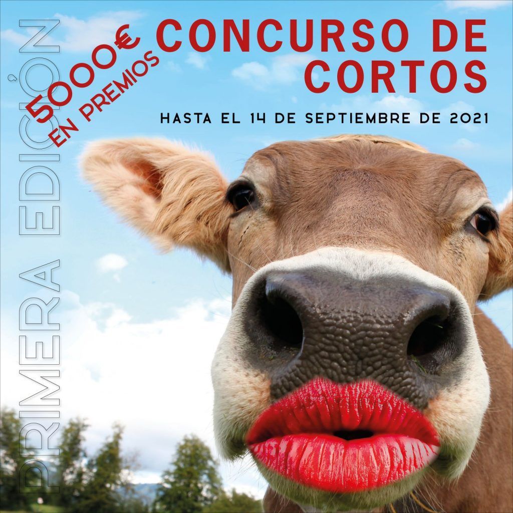 CONCURSO-CORTOS-DE-LAMUCCA